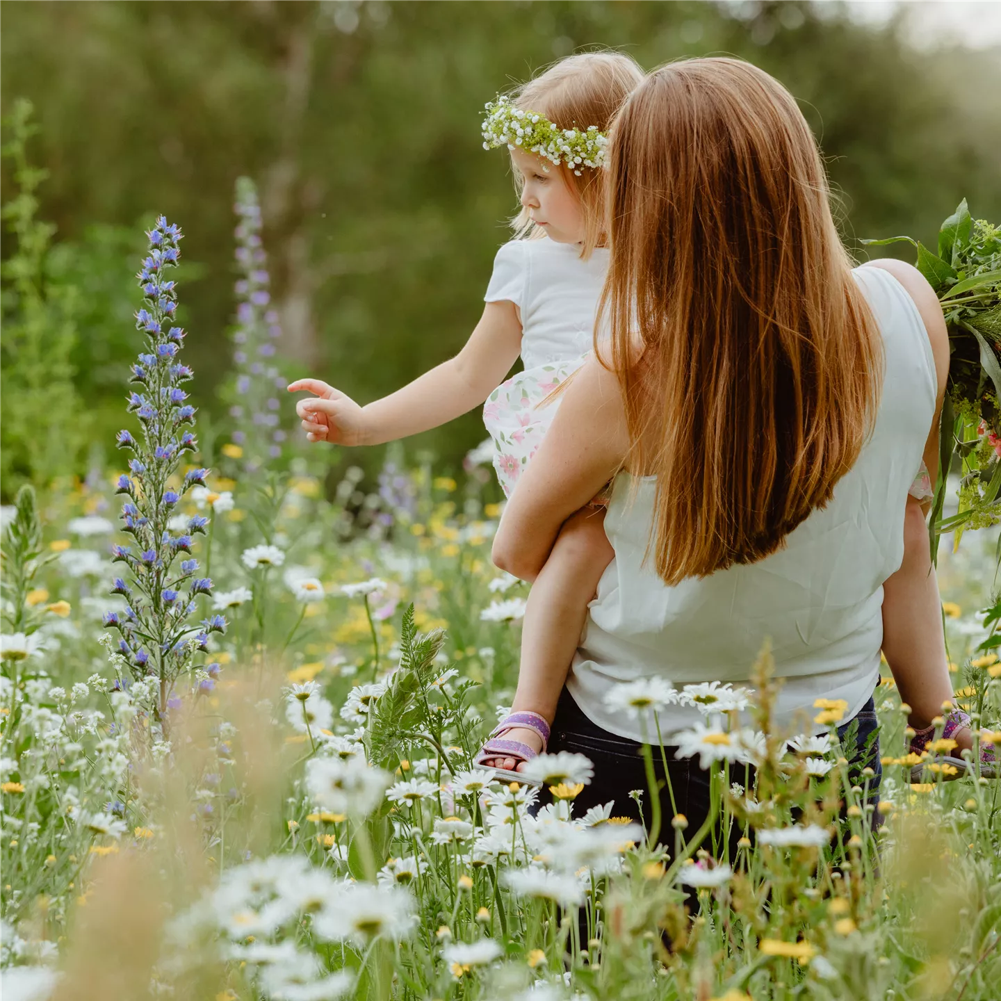 Biodiversität schafft Lebensraum für Mensch und Tier