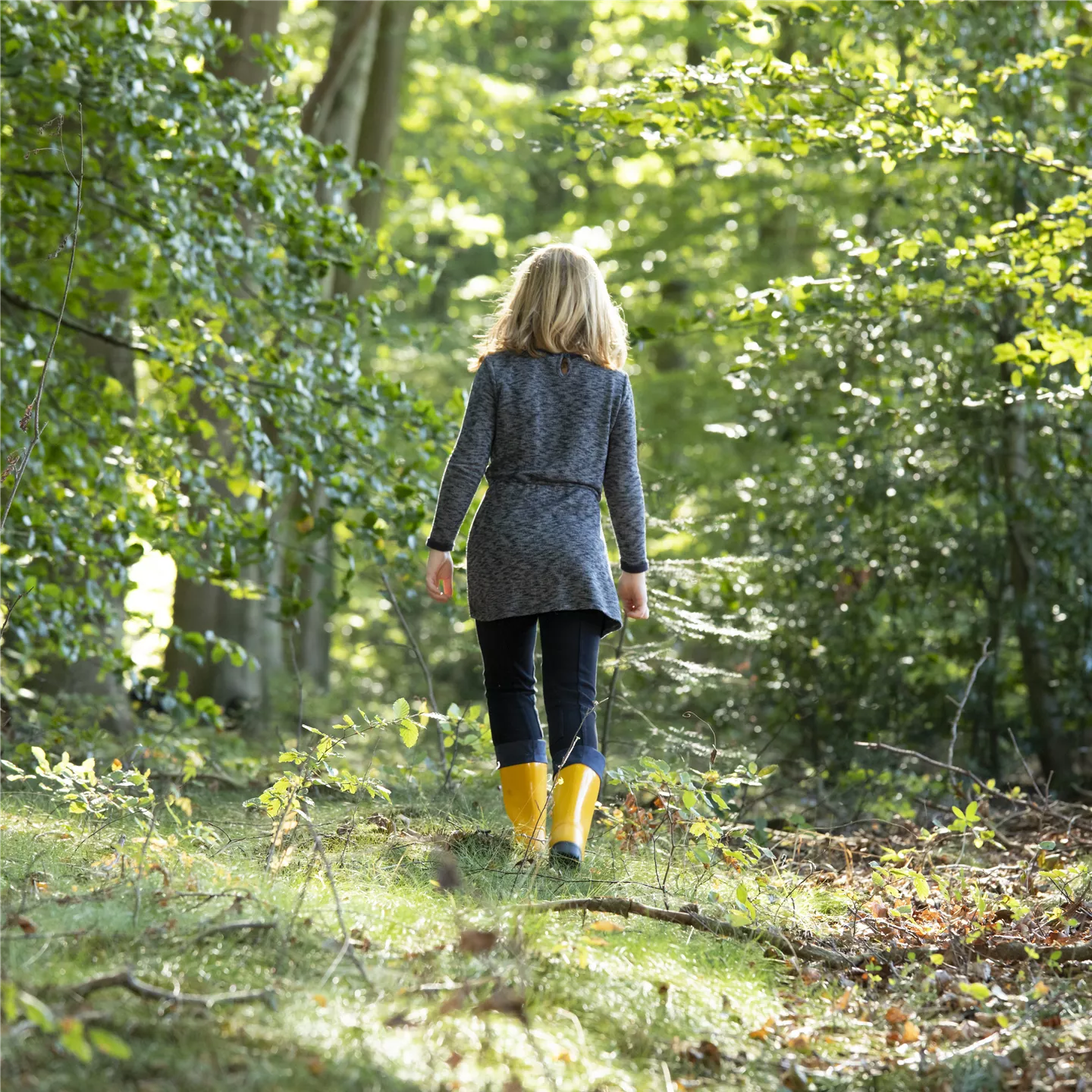 Wälder sind ein wichtiger Teil der Biodiversität